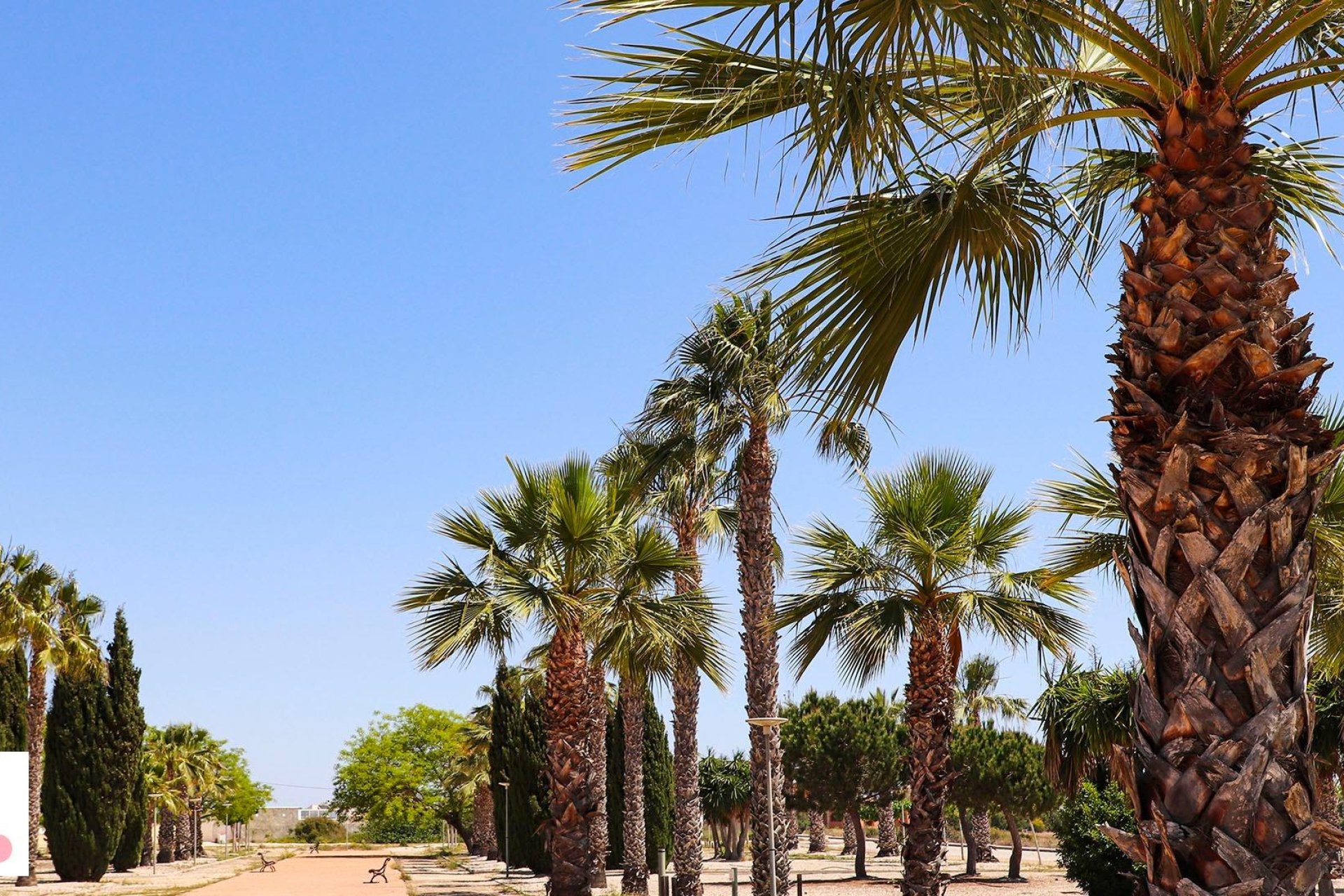 Obra nueva - villa -
