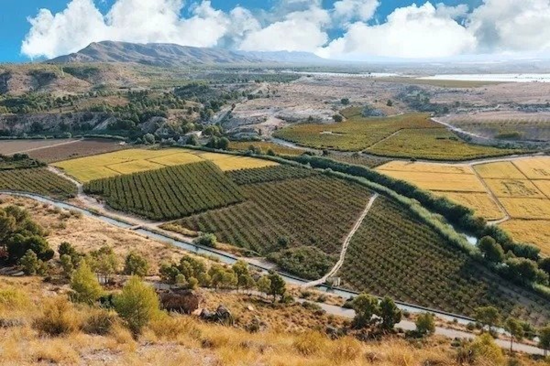 Obra nueva - villa -
