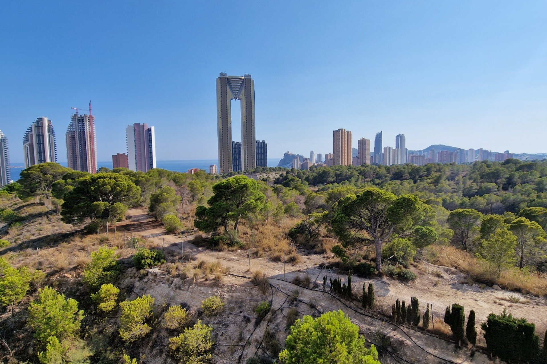 Odsprzedaż - Mieszkanie -
Benidorm - Poniente