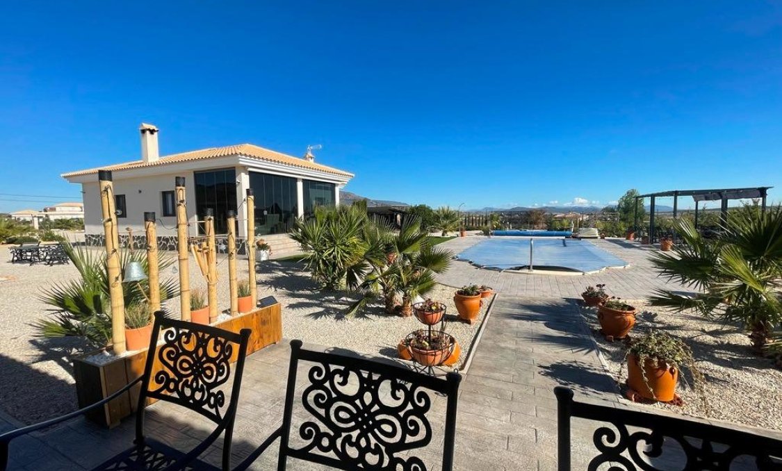 Nowy budynek - villa -
