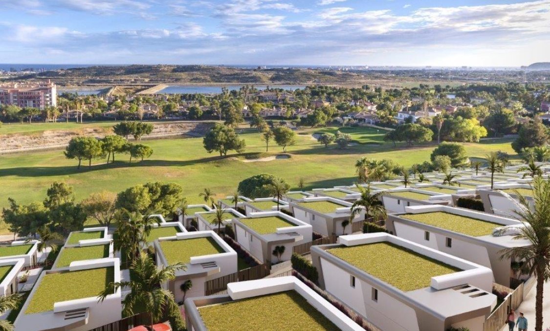 Nowy budynek - Daszek -
