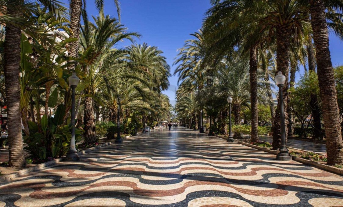 Nowy budynek - apartment -
