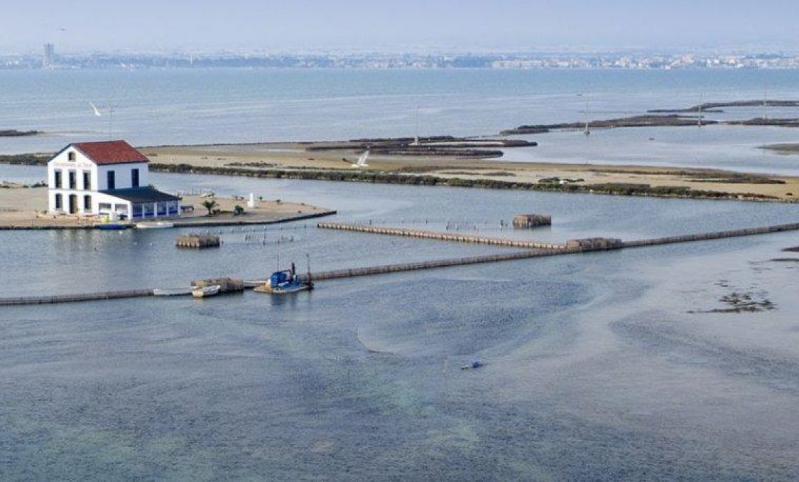 Obra nueva - Ático -
