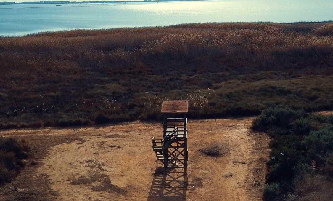 Nowy budynek - villa -
