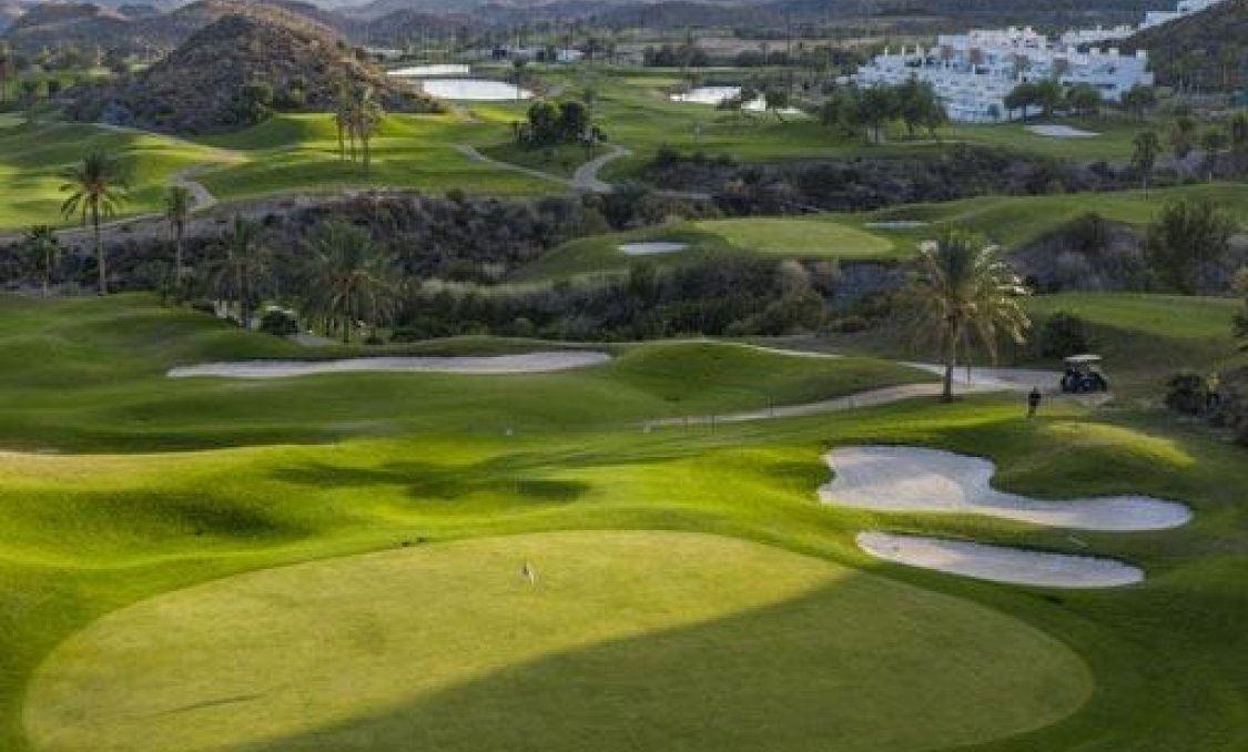 Nowy budynek - apartment -
