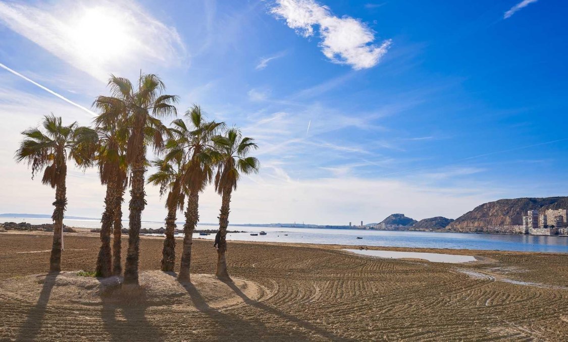 Nowy budynek - villa -
