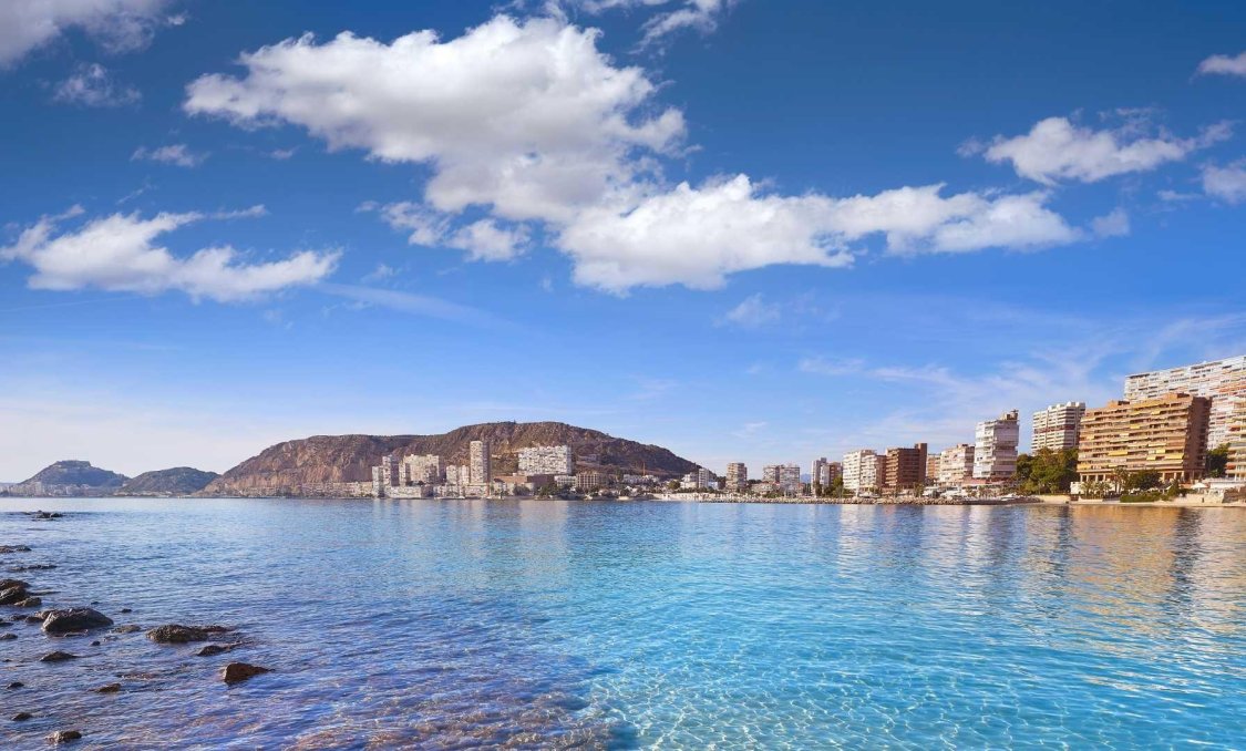 Obra nueva - villa -
