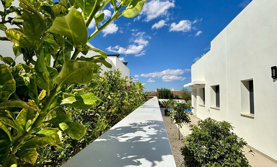 Nowy budynek - villa -
