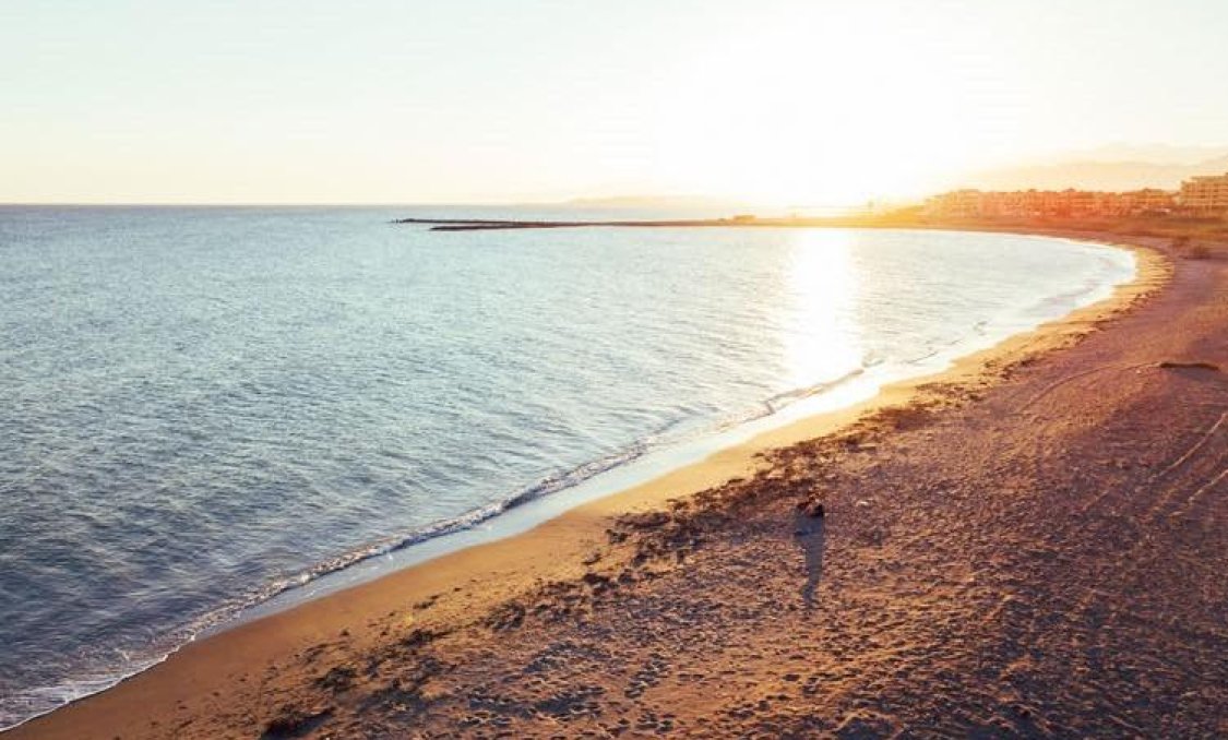 Obra nueva - Ground floor apartment -
