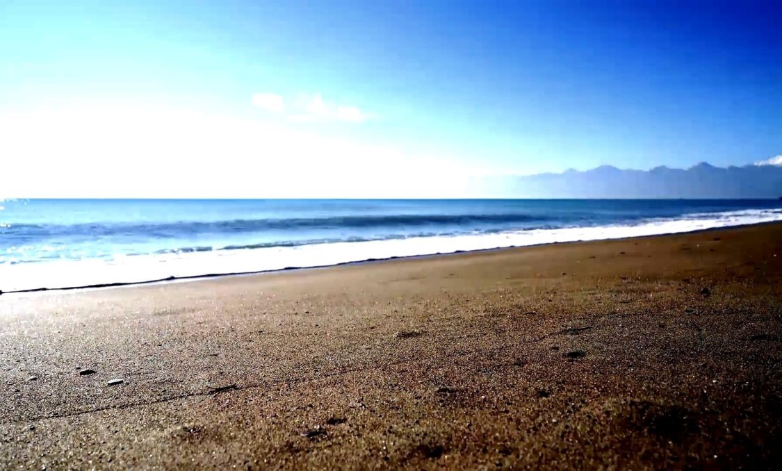 Nowy budynek - Daszek -
