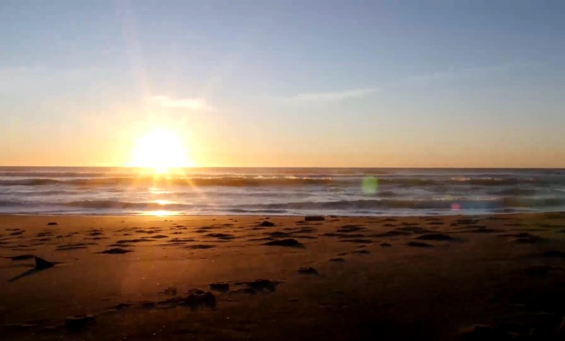 Nowy budynek - Daszek -
