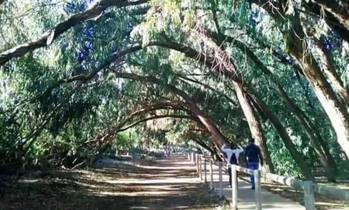 Nowy budynek - Bungalow -
