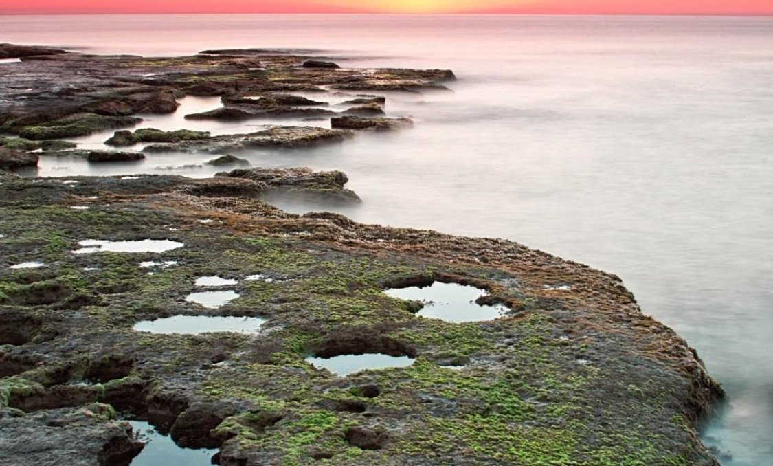 Obra nueva - Bungalow -
