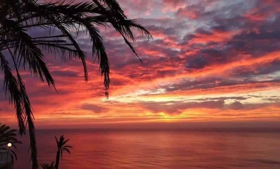 Nowy budynek - Bungalow -
