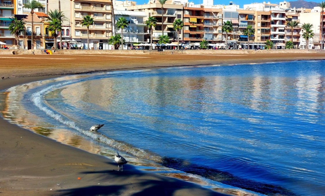 Obra nueva - town house -
