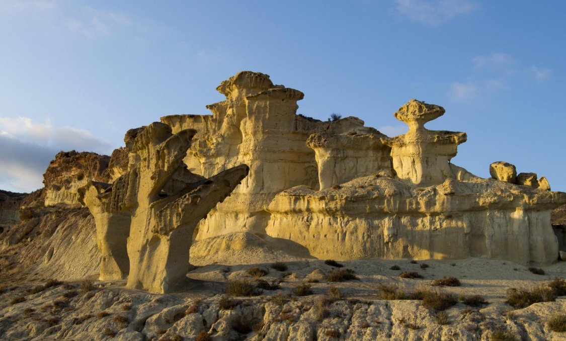 Nowy budynek - villa -
