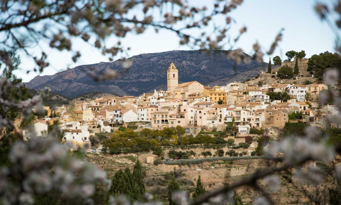 Nowy budynek - villa -
