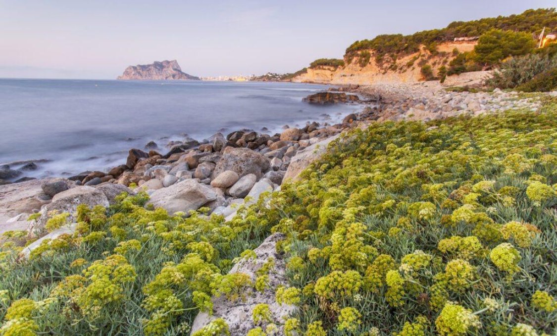 Obra nueva - villa -
