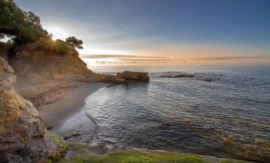 Obra nueva - villa -
