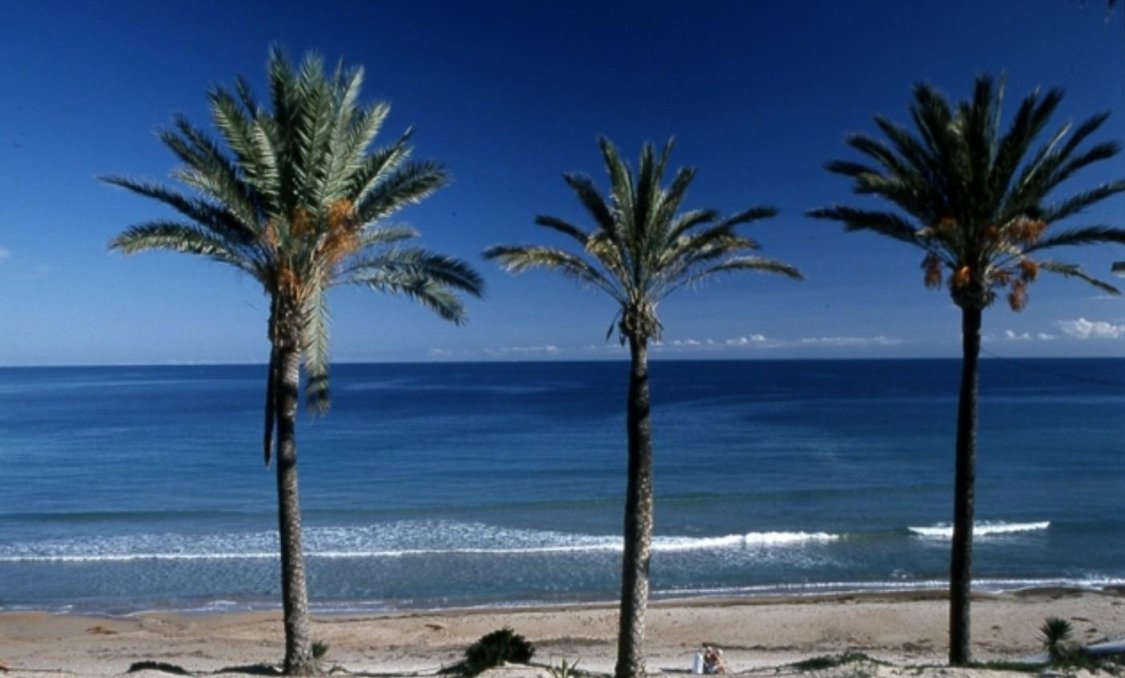 Obra nueva - Bungalow -
