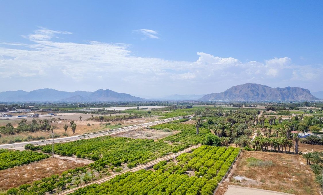 Nowy budynek - apartment -
