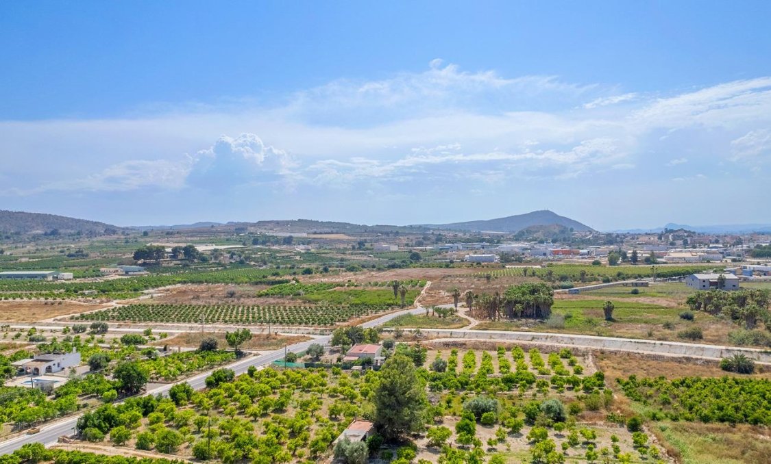 Nowy budynek - Daszek -
