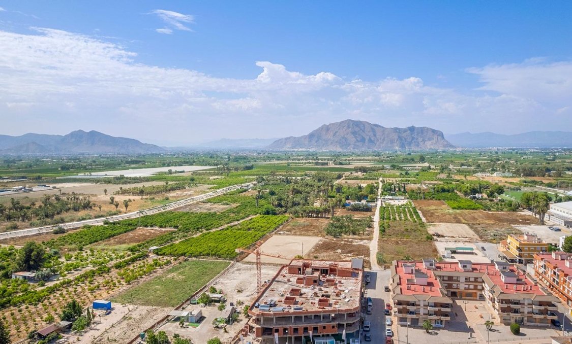 Nowy budynek - Daszek -
