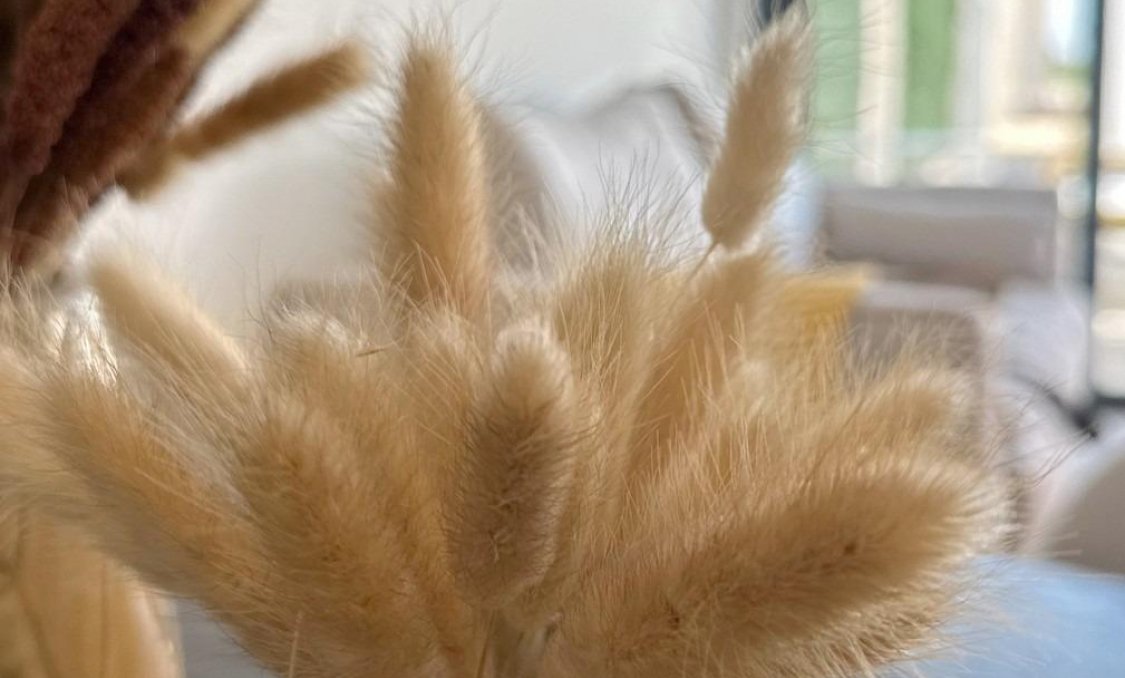 Nowy budynek - Bungalow -
