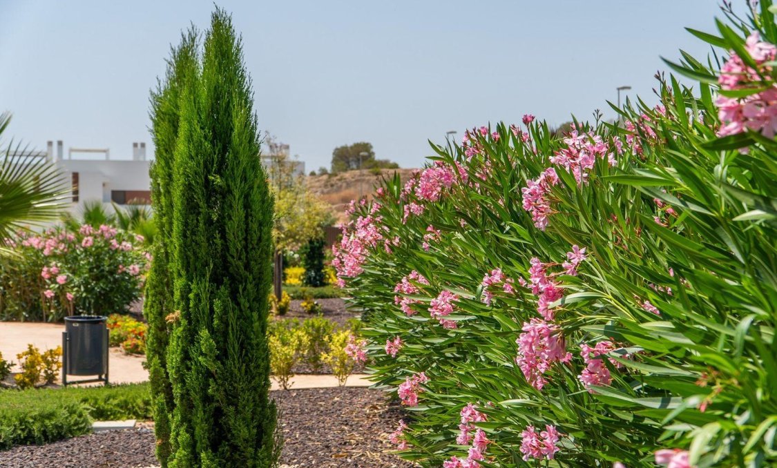 Obra nueva - town house -
