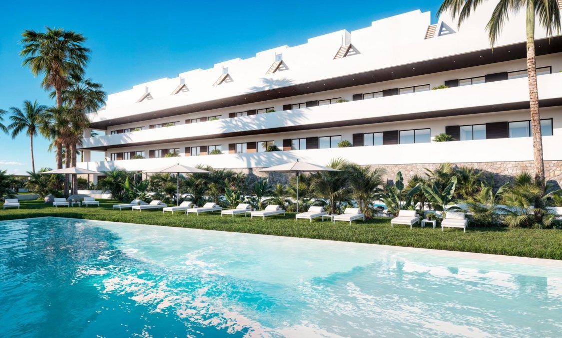 Nowy budynek - Daszek -
