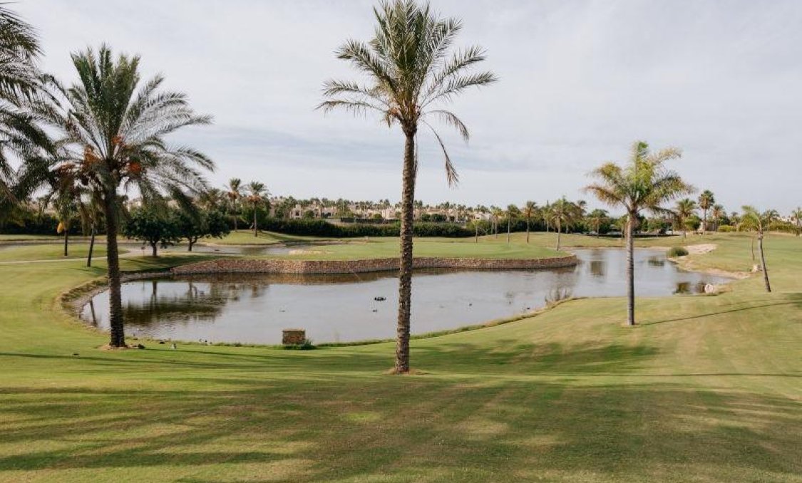 Nowy budynek - villa -
