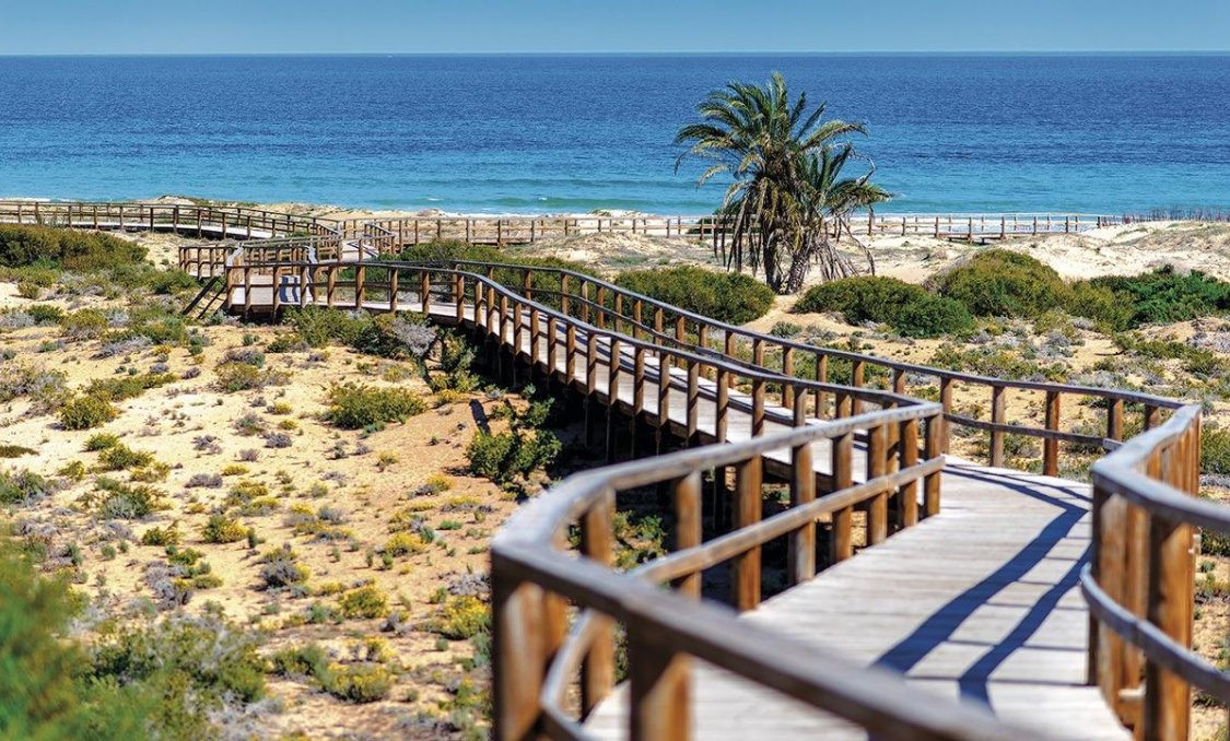 Obra nueva - apartment -
