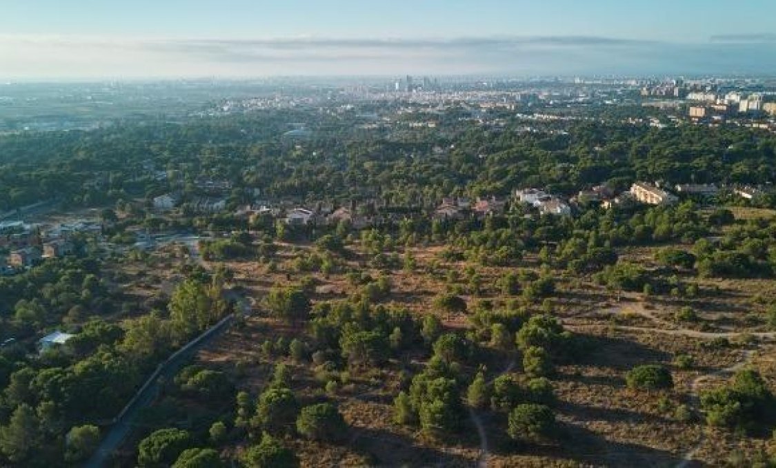 Obra nueva - Ground floor apartment -
