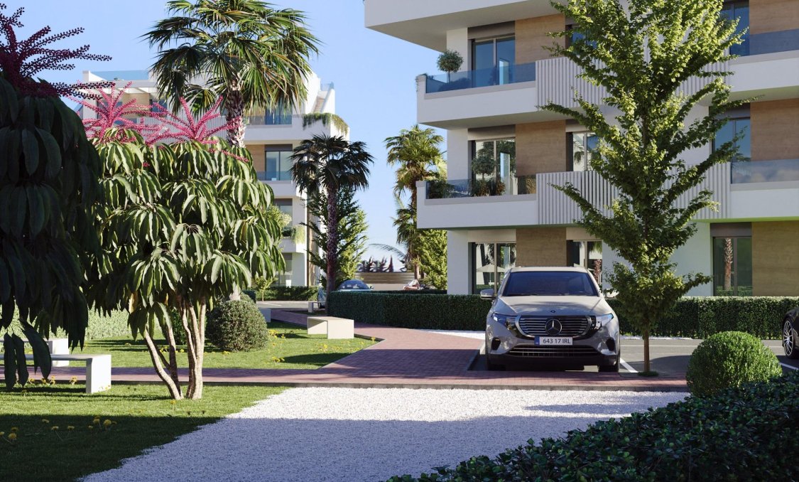 Nowy budynek - Daszek -
