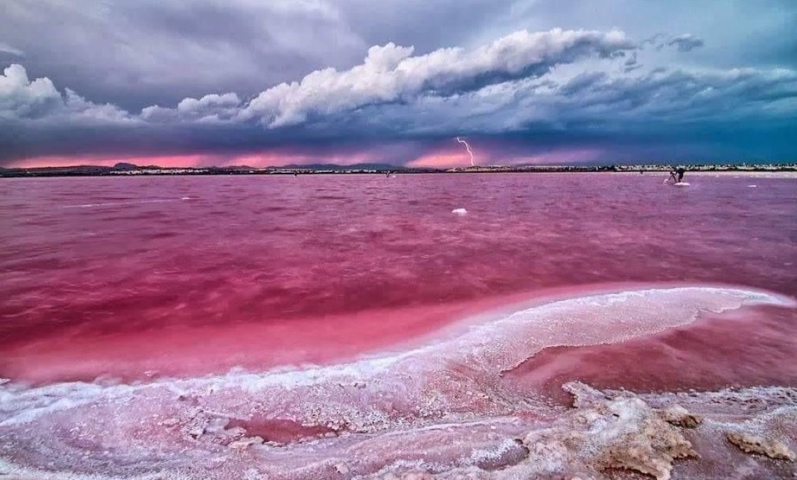 Nowy budynek - apartment -
