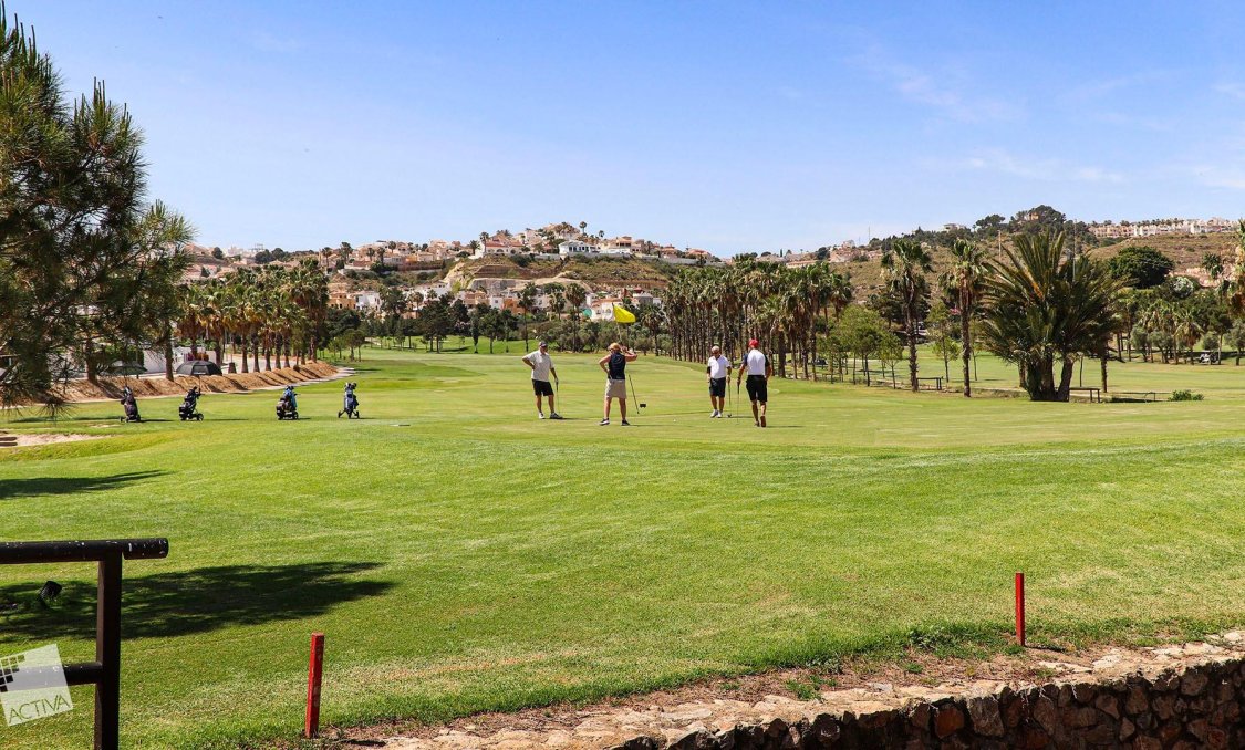 Obra nueva - villa -
