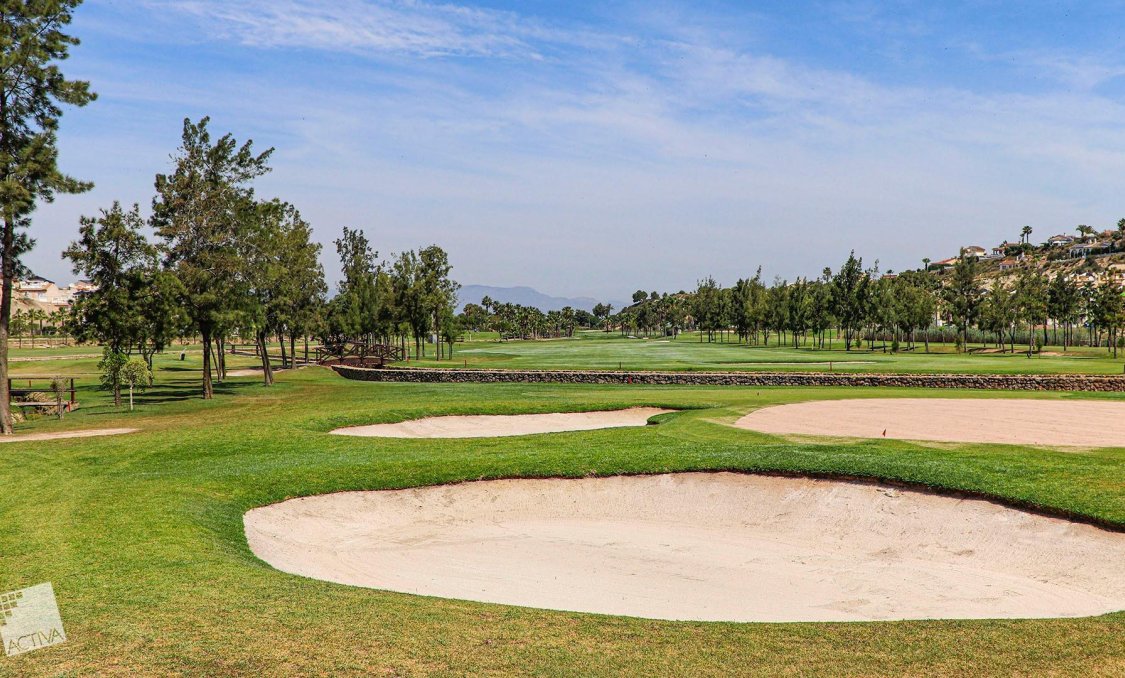 Obra nueva - villa -
