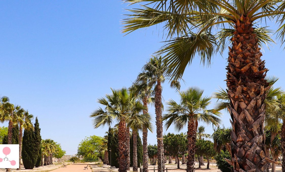 Nowy budynek - villa -
