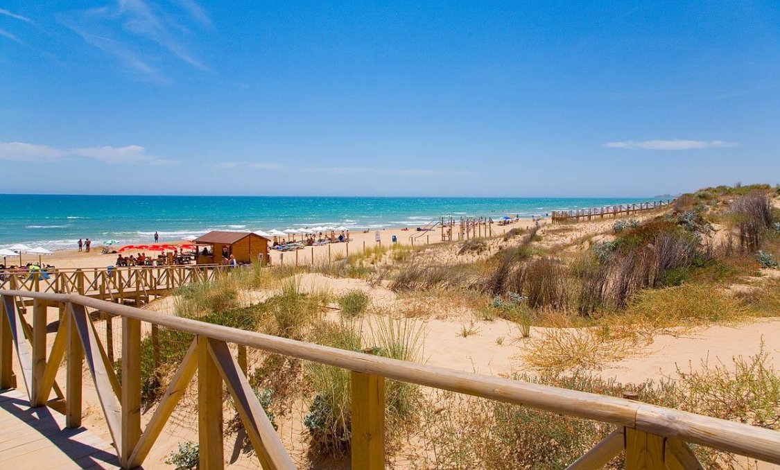 Nowy budynek - apartment -
