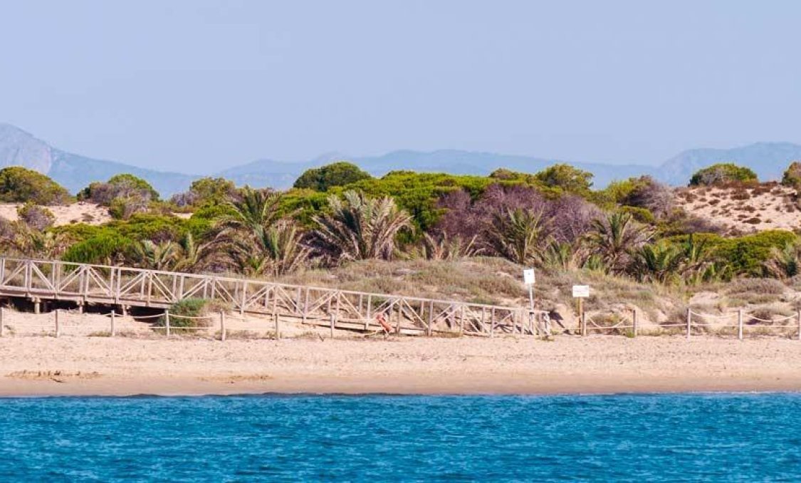 Obra nueva - Ático -
