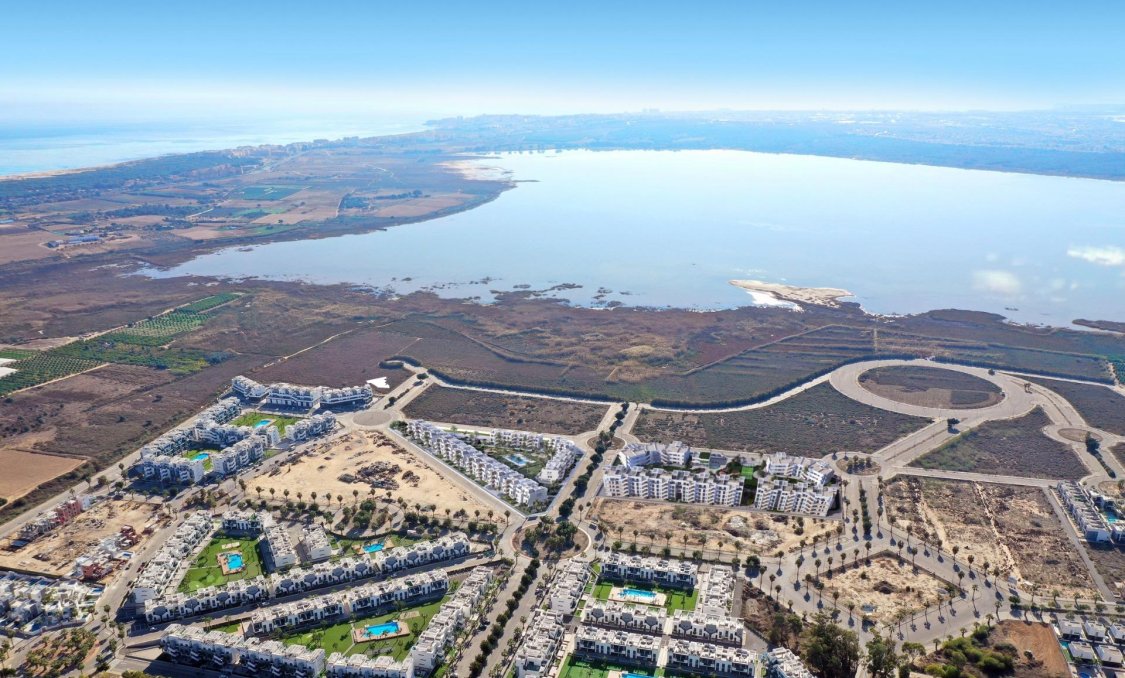 New Build - apartment -
