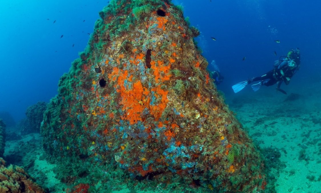 Nowy budynek - apartment -
