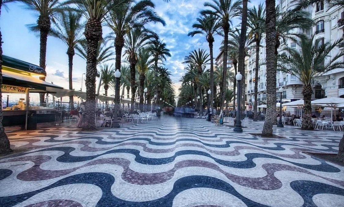 New Build - apartment -
