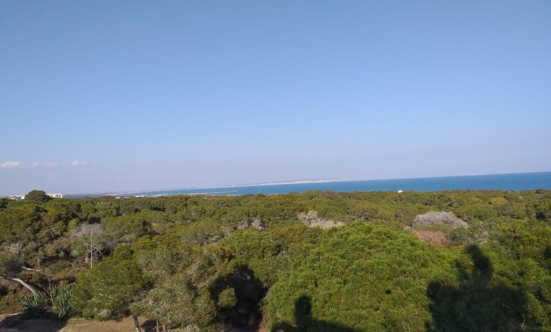 New Build - apartment -
