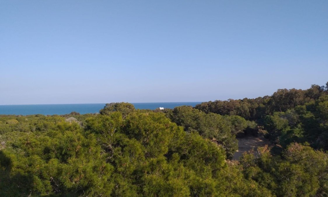 New Build - Penthouse -
