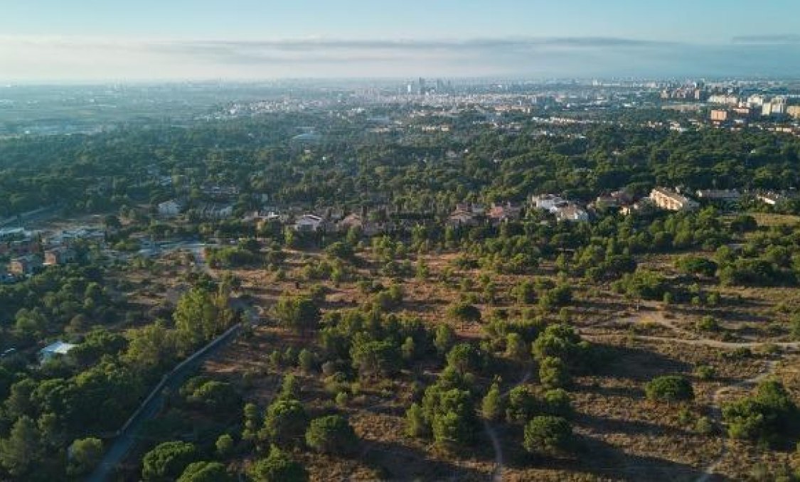 Obra nueva - Semidetached -
