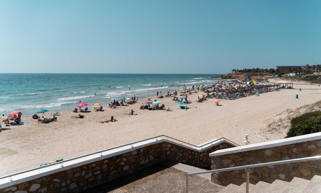 Obra nueva - villa -
