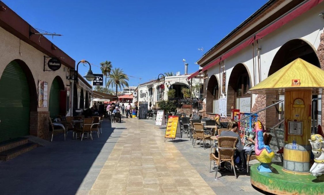 Obra nueva - villa -
