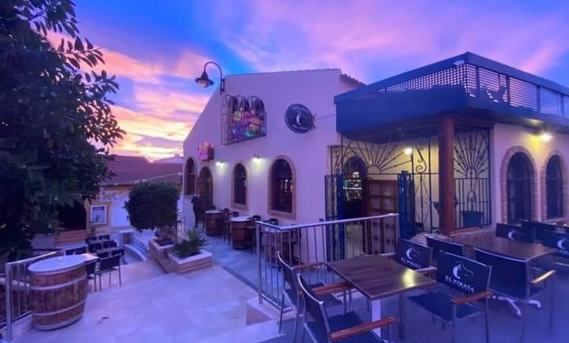 Obra nueva - villa -
