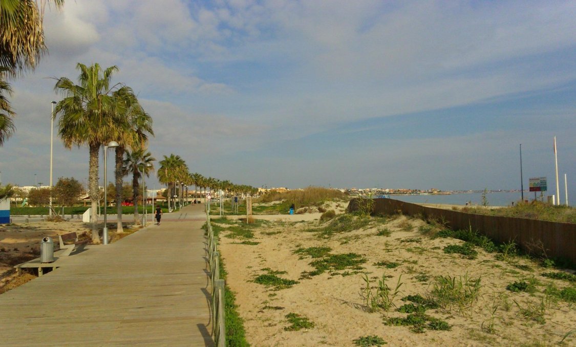 New Build - villa -
Pilar de la Horadada